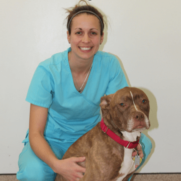 quakertown zeledon veterinary cortney vmd bower