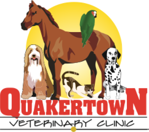 Quakertown Veterinary Clinic Favicon